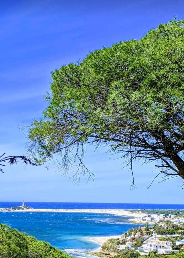 Finca El Abuelo Manuel Vejer de la Frontera Eksteriør bilde